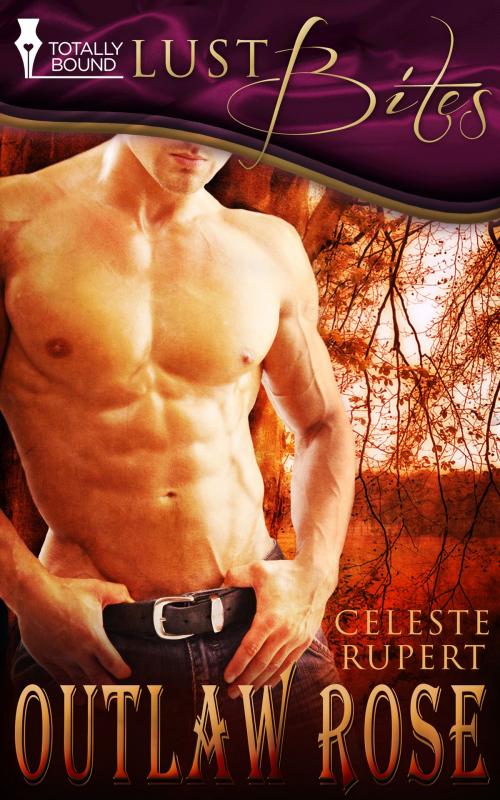 Cover of the book Outlaw Rose by Celeste Rupert, Totally Entwined Group Ltd