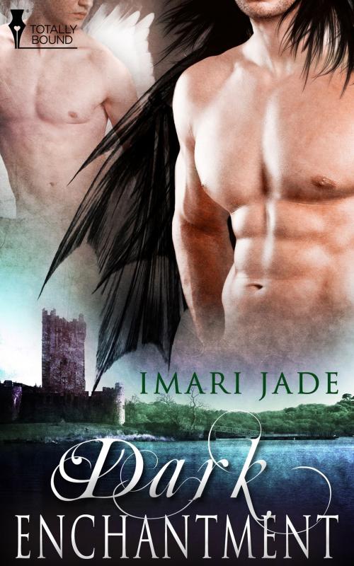 Cover of the book Dark Enchantment by Imari Jade, Totally Entwined Group Ltd