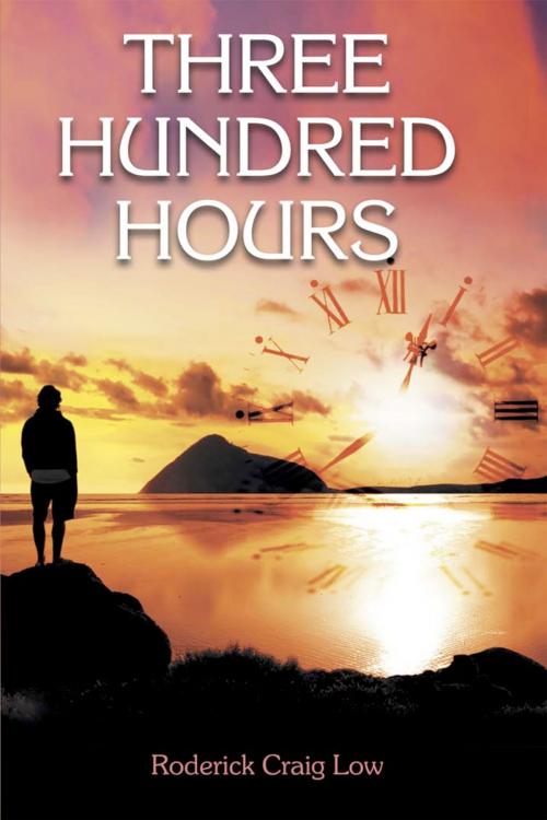 Cover of the book Three Hundred Hours by Roderick Craig Low, Andrews UK