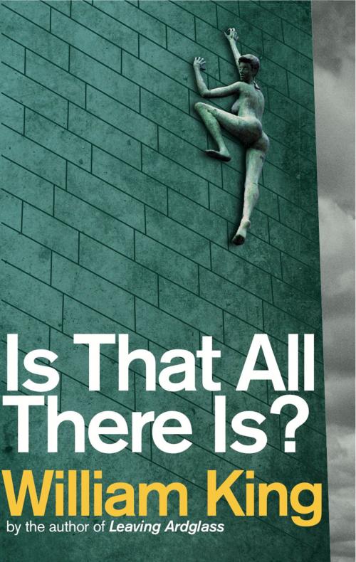 Cover of the book Is That All There Is? by William King, The Lilliput Press