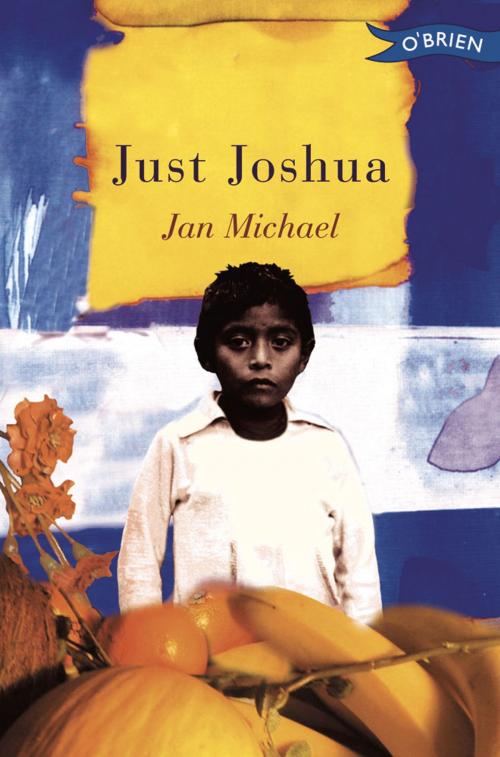 Cover of the book Just Joshua by Jan Michael, The O'Brien Press