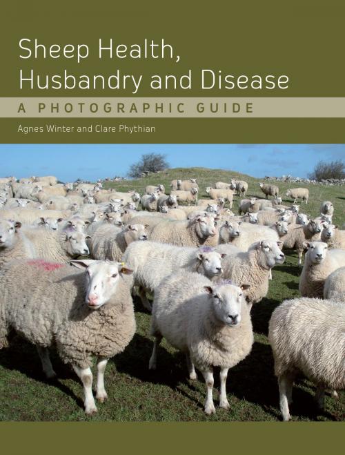 Cover of the book Sheep Health, Husbandry and Disease by Agnes C Winter, Clare Phythian, Crowood