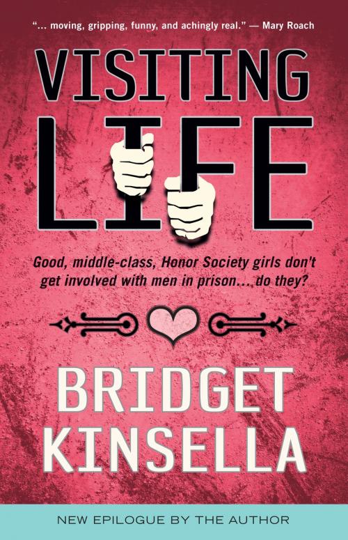 Cover of the book Visiting Life by Bridget Kinsella, MP Publishing