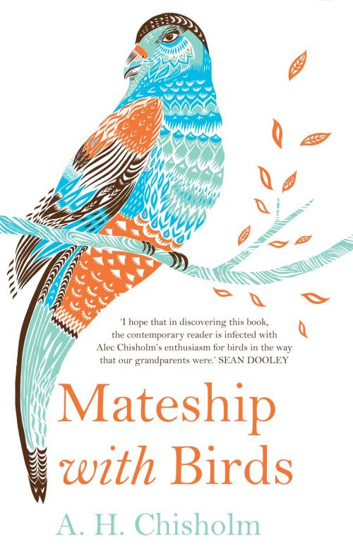 Cover of the book Mateship with Birds by A.H. Chisholm, Scribe Publications Pty Ltd