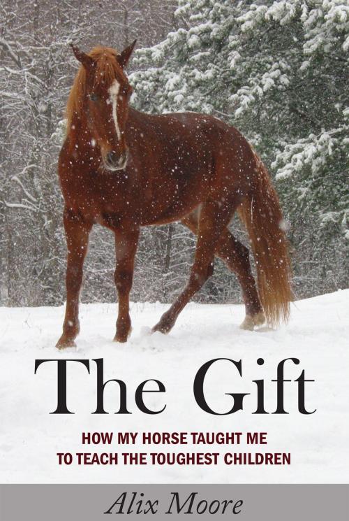 Cover of the book The Gift by Alix Moore, Apprentice House