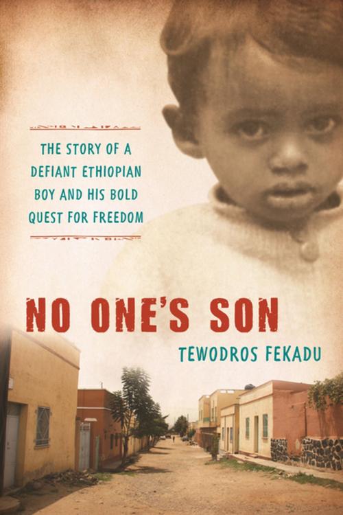 Cover of the book No One's Son by Tewodros Fekadu, Leapfrog Press