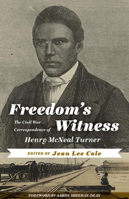 Cover of the book Freedom's Witness by , West Virginia University Press