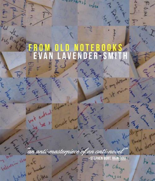 Cover of the book From Old Notebooks by Evan Lavender-Smith, Dzanc Books