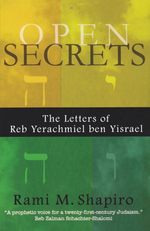Cover of the book Open Secrets by Rabbi Rami M. Shapiro, Monkfish Book Publishing