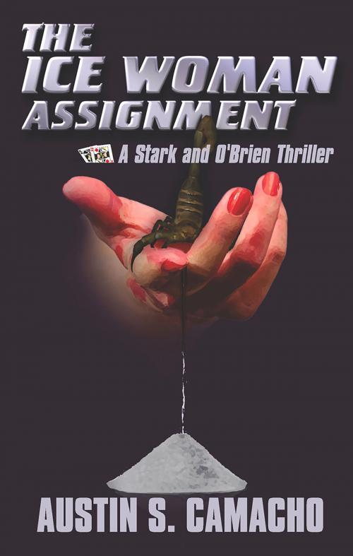 Cover of the book The Ice Woman Assignment by Austin S. Camacho, Intrigue Publishing LLC