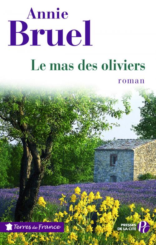 Cover of the book Le Mas des oliviers by Annie BRUEL, Place des éditeurs