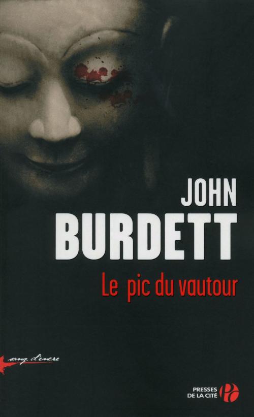 Cover of the book Le Pic du vautour by John BURDETT, Place des éditeurs
