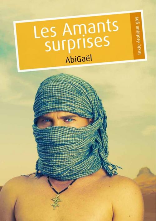 Cover of the book Les Amants surprises by AbiGaël, Éditions Textes Gais