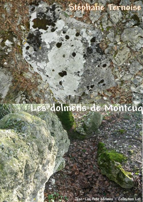 Cover of the book Les dolmens de Montcuq by Stéphane Ternoise, Jean-Luc PETIT Editions