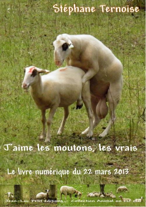 Cover of the book J'aime les moutons, les vrais by Stéphane Ternoise, Jean-Luc PETIT Editions