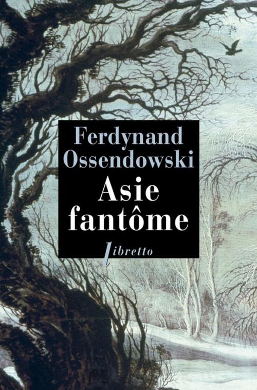 Cover of the book Asie fantôme by Ferdynand Ossendowski, Libretto