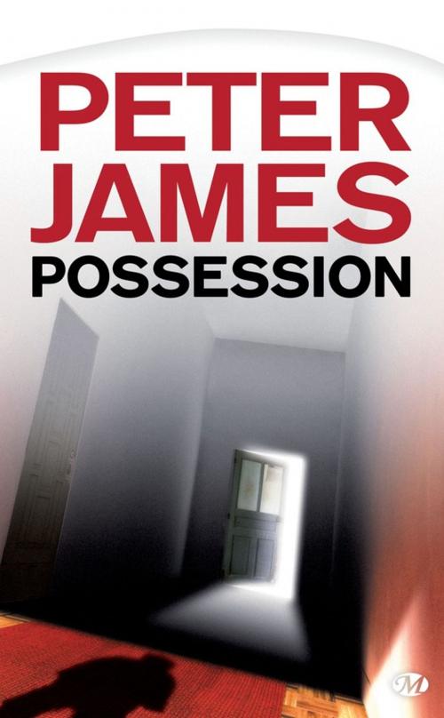 Cover of the book Possession by Peter James, Bragelonne