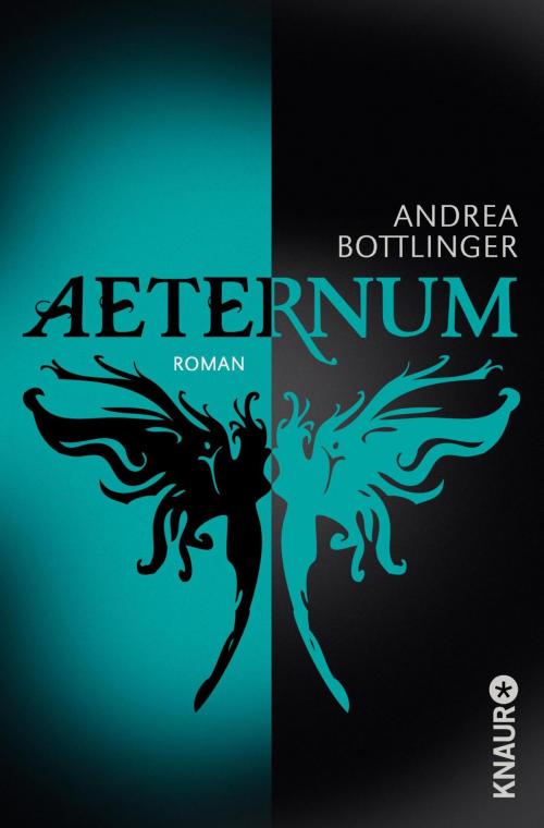 Cover of the book Aeternum by Andrea Bottlinger, Knaur eBook