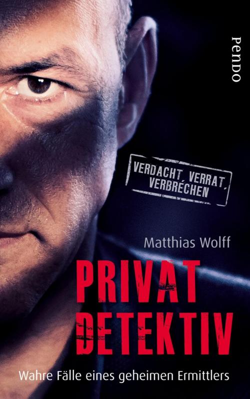 Cover of the book Privatdetektiv by Matthias Wolff, Piper ebooks