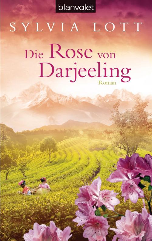 Cover of the book Die Rose von Darjeeling by Sylvia Lott, Blanvalet Taschenbuch Verlag