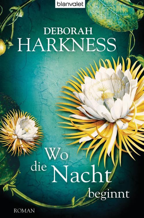 Cover of the book Wo die Nacht beginnt by Deborah Harkness, Blanvalet Verlag