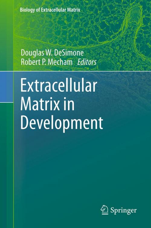 Cover of the book Extracellular Matrix in Development by , Springer Berlin Heidelberg