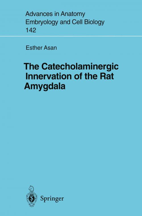 Cover of the book The Catecholaminergic Innervation of the Rat Amygdala by Esther Asan, Springer Berlin Heidelberg