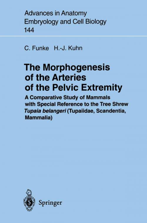 Cover of the book The Morphogenesis of the Arteries of the Pelvic Extremity by Carolin Funke, Hans-Jörg Kuhn, Springer Berlin Heidelberg