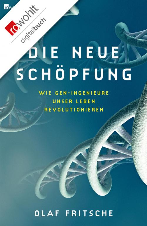 Cover of the book Die neue Schöpfung by Olaf Fritsche, Rowohlt E-Book