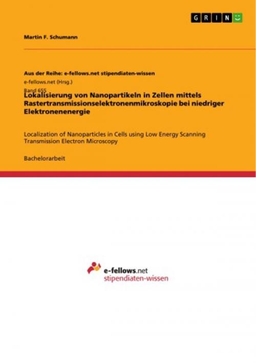 Cover of the book Lokalisierung von Nanopartikeln in Zellen mittels Rastertransmissionselektronenmikroskopie bei niedriger Elektronenenergie by Martin F. Schumann, GRIN Verlag