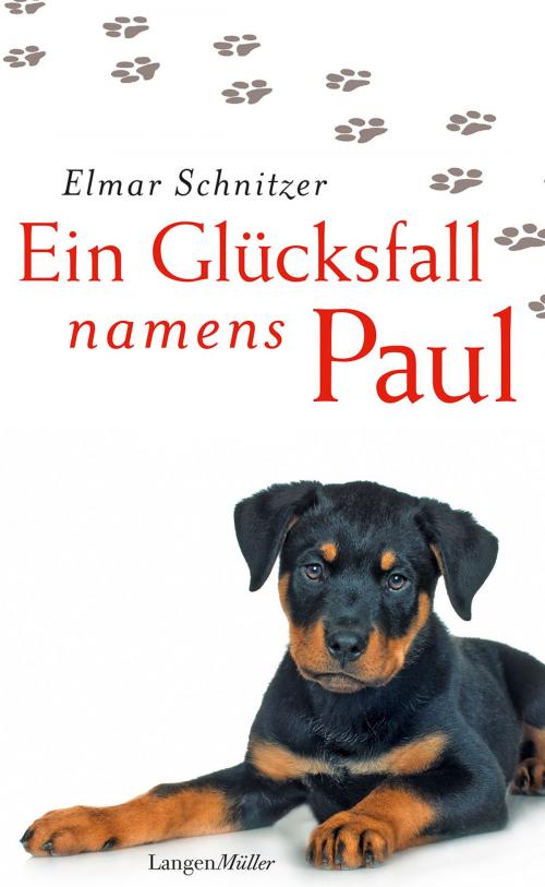 Cover of the book Ein Glücksfall namens Paul by Elmar Schnitzer, LangenMüller