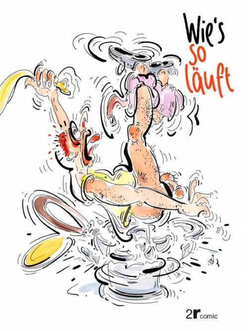 Cover of the book Wie´s so läuft by Rainer Riedl, epubli