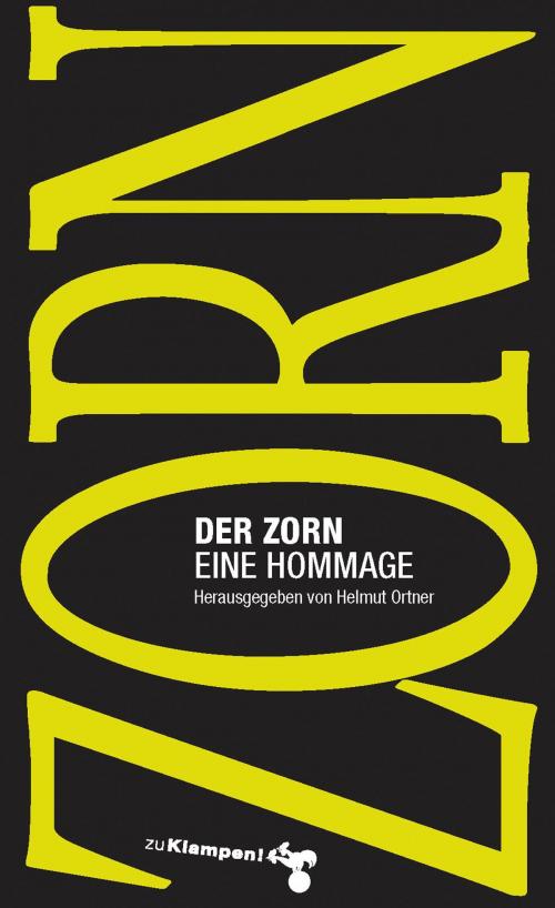 Cover of the book Der Zorn by , zu Klampen Verlag