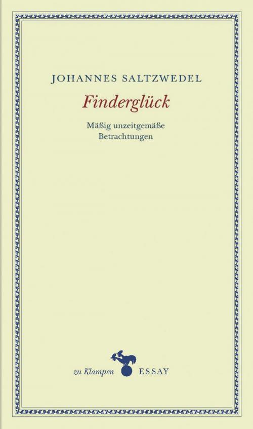 Cover of the book Finderglück by Johannes Saltzwedel, zu Klampen Verlag