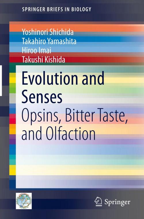 Cover of the book Evolution and Senses by Yoshinori Shichida, Takahiro Yamashita, Hiroo Imai, Takushi Kishida, Springer Japan