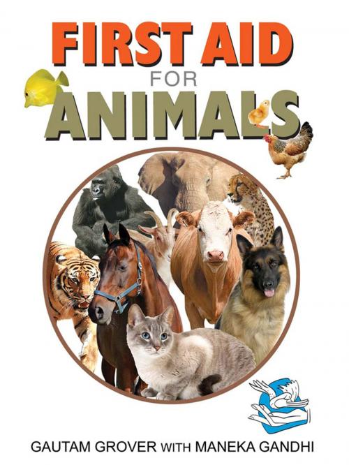 Cover of the book First Aid For Animals by Gautam Grover  & Maneka Gandhi, Sterling Publishers Pvt. Ltd.