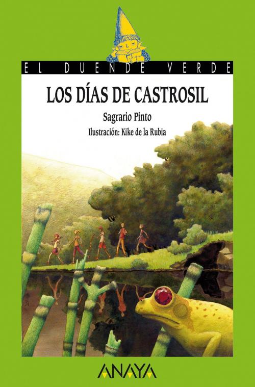 Cover of the book Los días de Castrosil by Sagrario Pinto, ANAYA INFANTIL Y JUVENIL