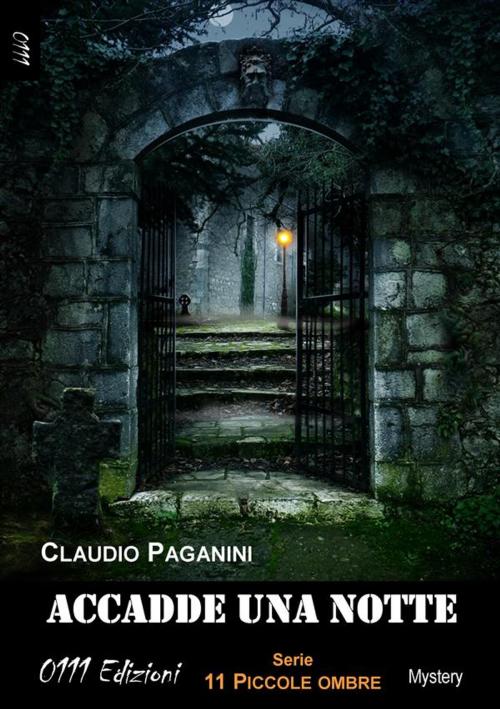 Cover of the book Accadde una notte by Claudio Paganini, 0111 Edizioni