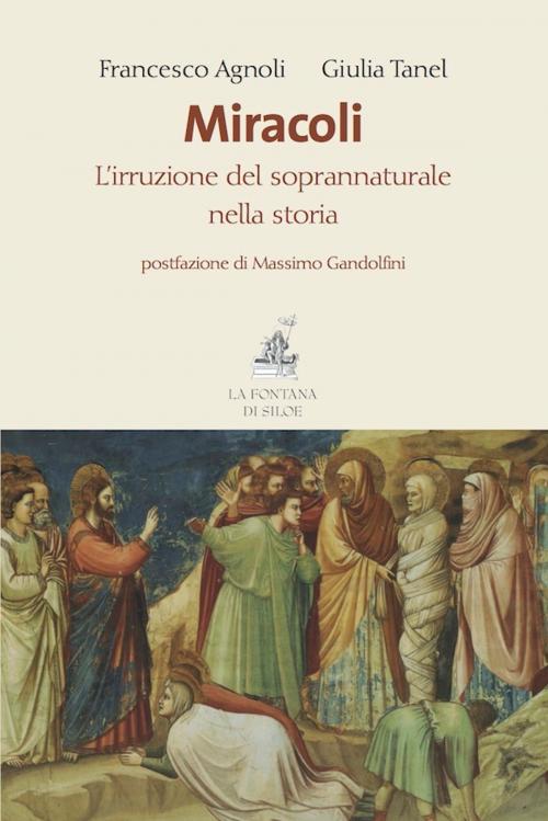 Cover of the book Miracoli by Francesco Agnoli, Giulia Tanel, Massimo Gandolfini, La Fontana di Siloe