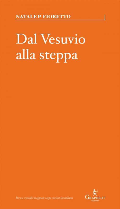 Cover of the book Dal Vesuvio alla steppa by Natale P. Fioretto, Graphe.it