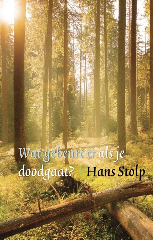 Cover of the book Wat gebeurt er als je dood gaat? by Hans Stolp, VBK Media