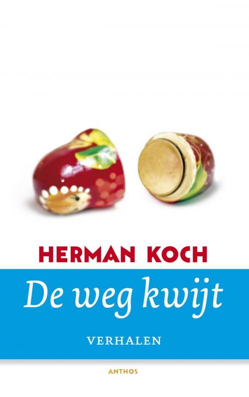 Cover of the book De weg kwijt by Herman Koch, Ambo/Anthos B.V.