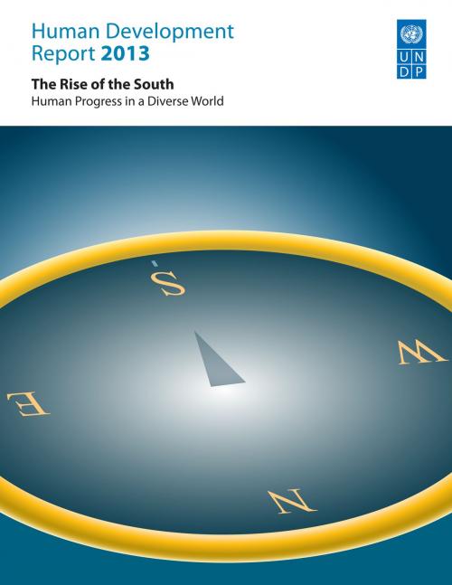 Cover of the book Human Development Report 2013 by United Nations, United Nations Development Programme, United Nations