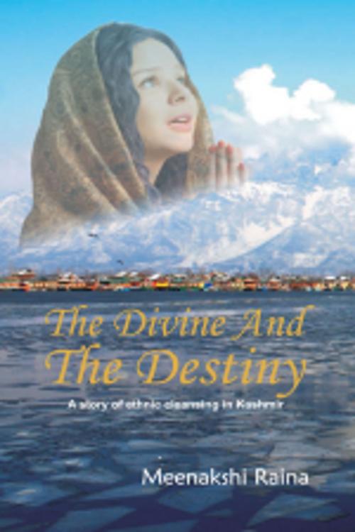 Cover of the book The Divine And The Destiny by Meenakshi Raina, Leadstart Publishing Pvt Ltd