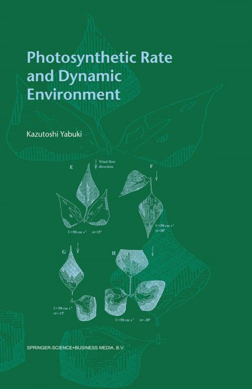 Cover of the book Photosynthetic Rate and Dynamic Environment by Kazutoshi Yabuki, Springer Netherlands