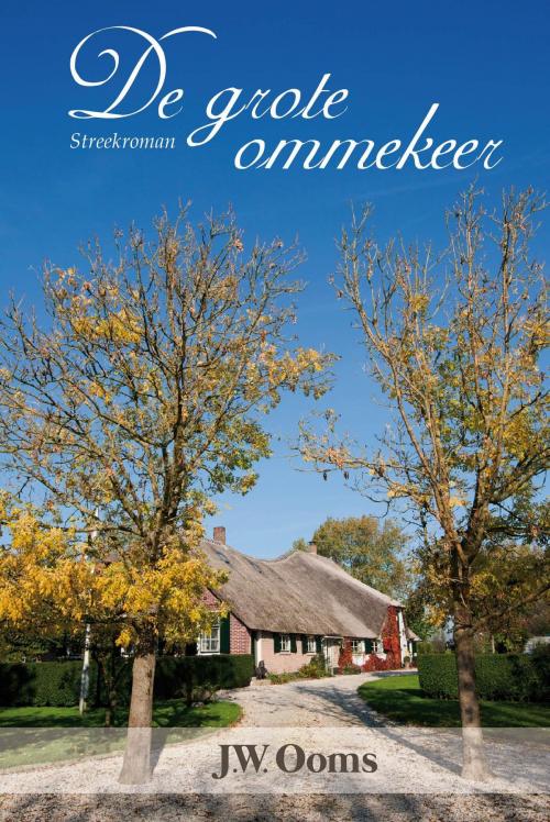Cover of the book De grote ommekeer by Johannes Willem Ooms, VBK Media