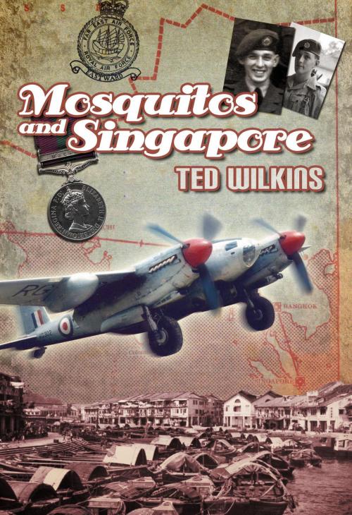 Cover of the book Mosquitos and Singapore by Ted Wilkins, We Green Solutions