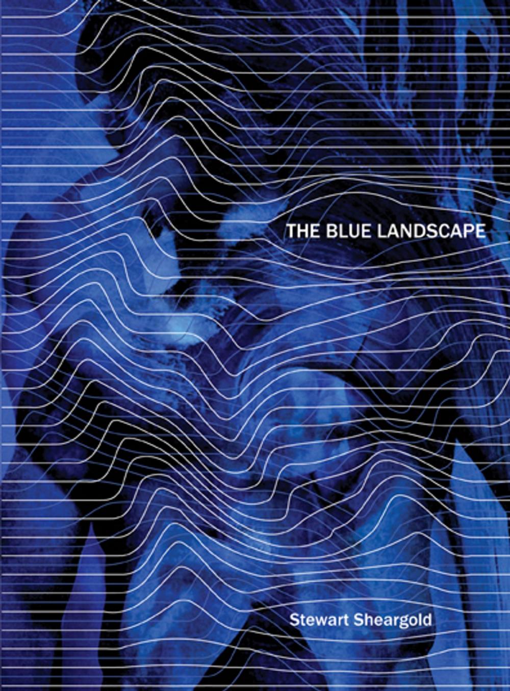 Big bigCover of The Blue Landscape & Other Stories