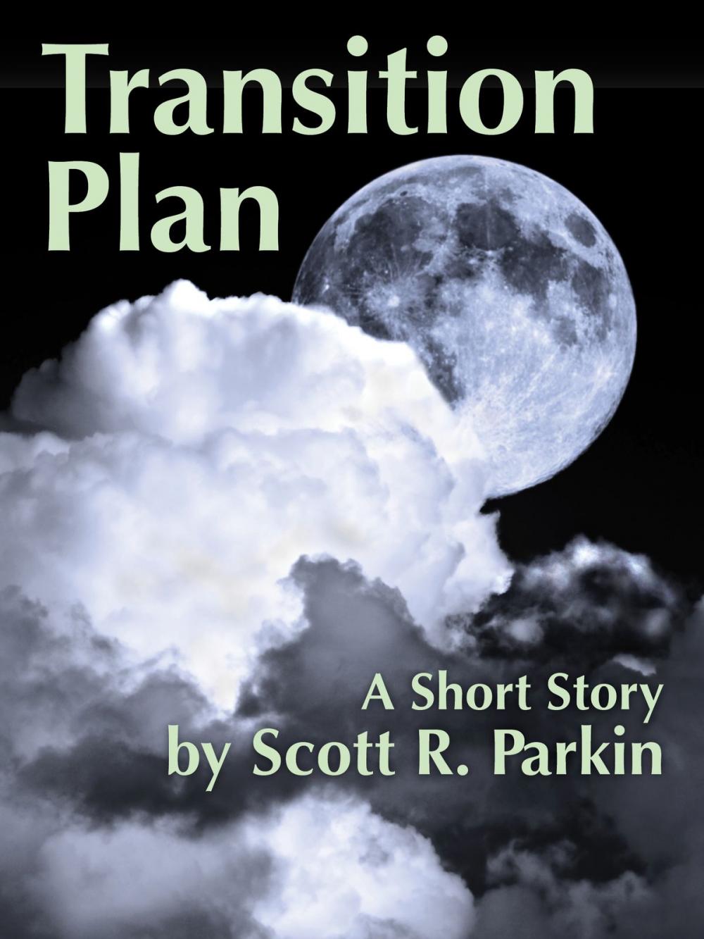 Big bigCover of Transition Plan