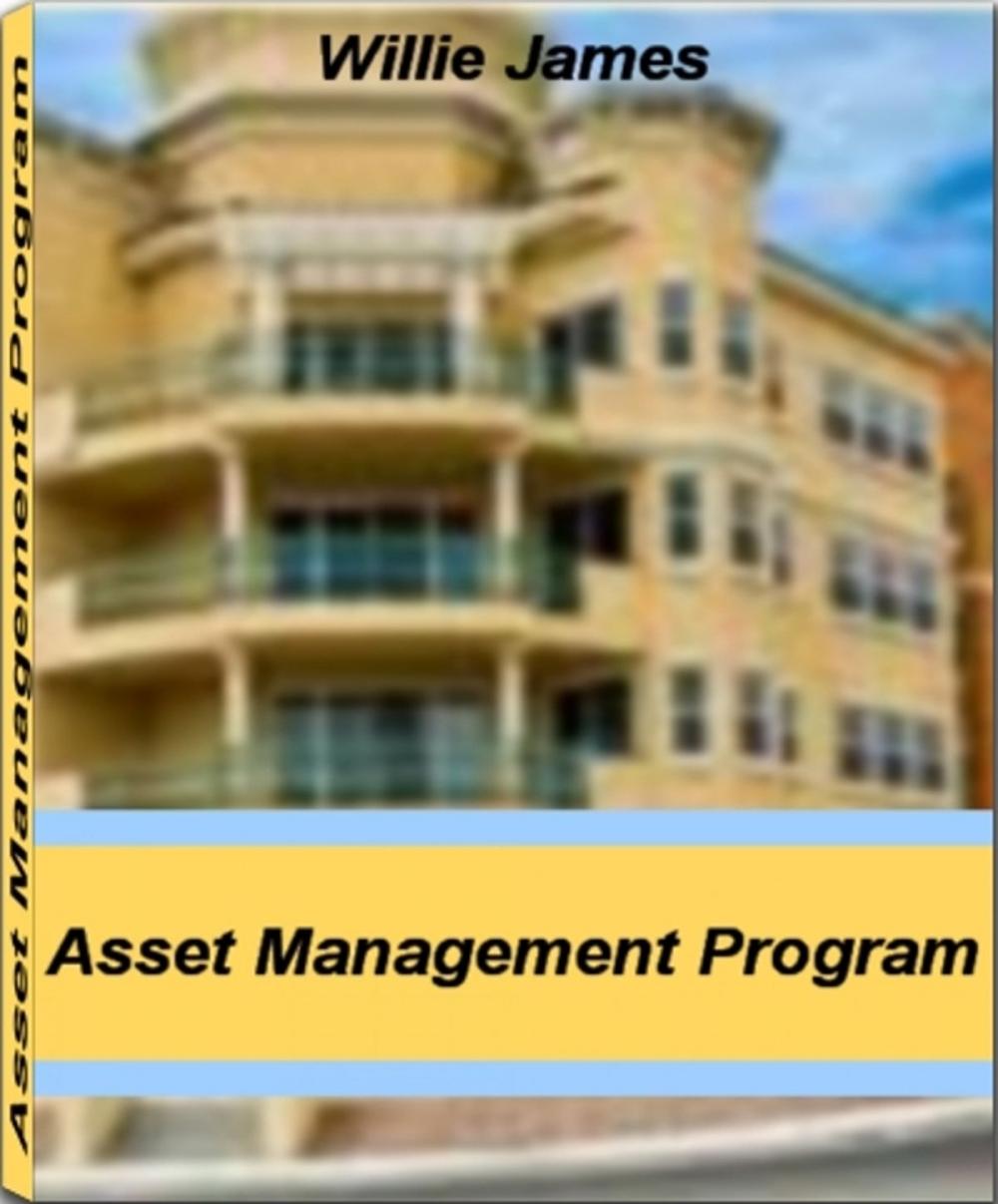 Big bigCover of Asset Management Program